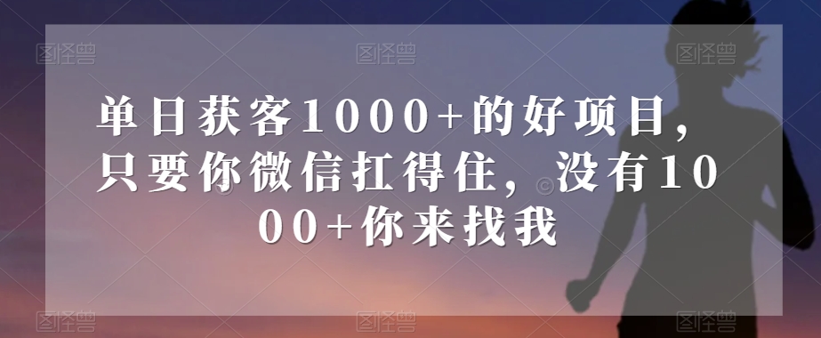 单日获客1000+的好项目，只要你微信扛得住，没有1000+你来找我【揭秘】-无双资源网