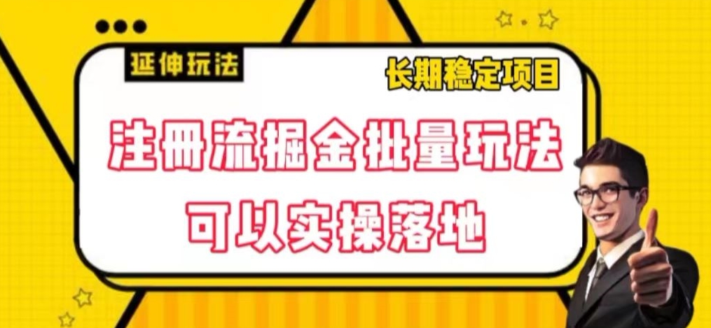 注册流掘金批量玩法，可以实操落地【揭秘】-无双资源网