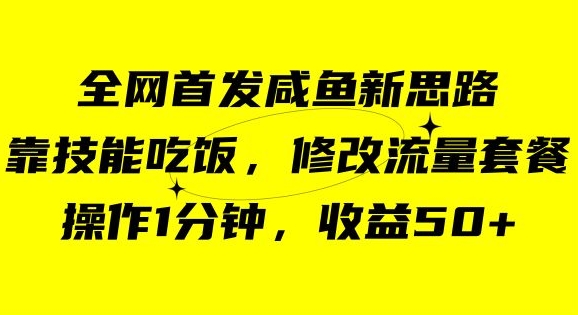 【百度网盘】咸鱼冷门新玩法，靠“技能吃饭”，修改流量套餐，操作1分钟，收益50【揭秘】-无双资源网