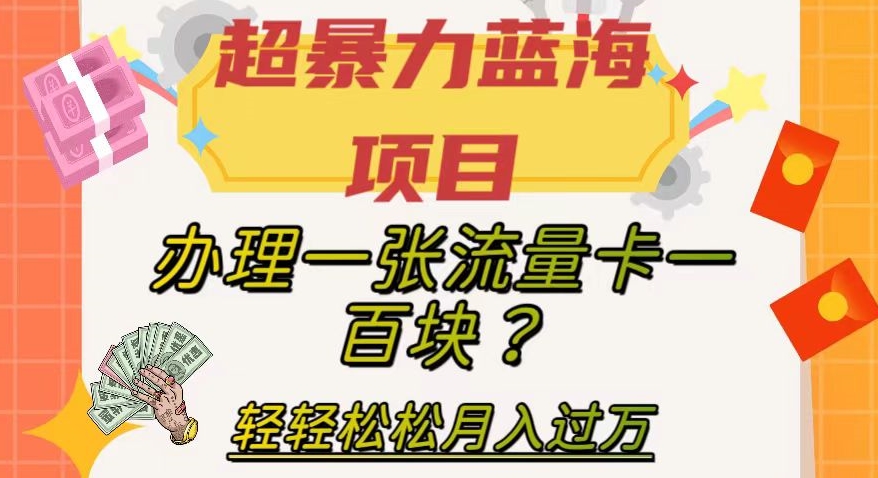 【夸克网盘】超暴力蓝海项目，办理一张流量卡一百块？轻轻松松月入过万，保姆级教程【揭秘】-无双资源网