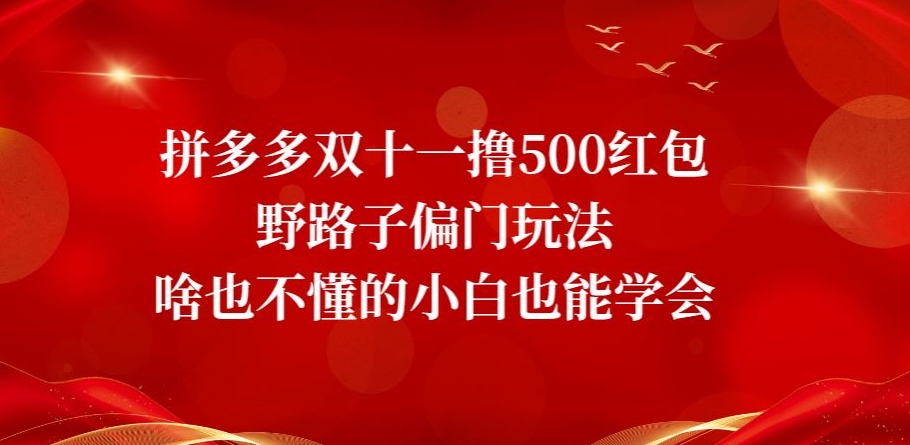 【百度网盘】拼多多双十一撸500红包野路子偏门玩法，啥也不懂的小白也能学会【揭秘】-无双资源网