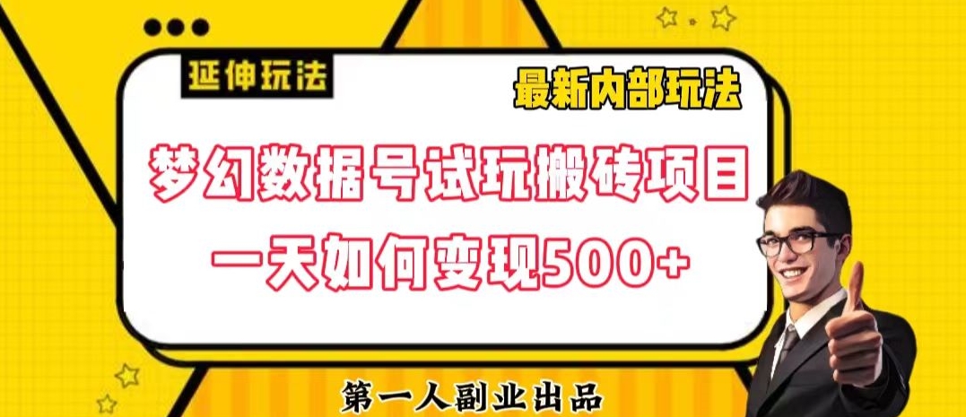 数据号回归玩法游戏试玩搬砖项目再创日入500+【揭秘】-无双资源网