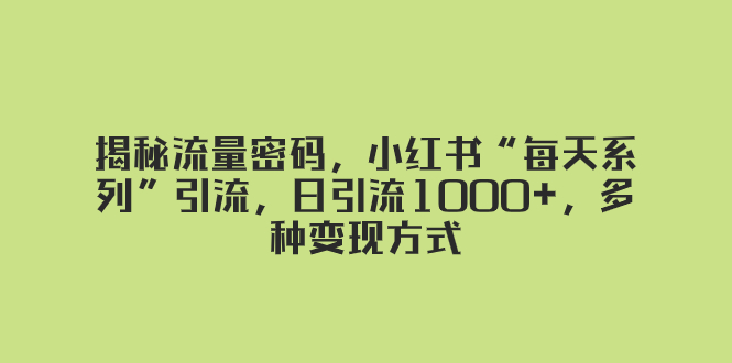 揭秘流量密码，小红书“每天系列”引流，日引流1000+，多种变现方式-无双资源网