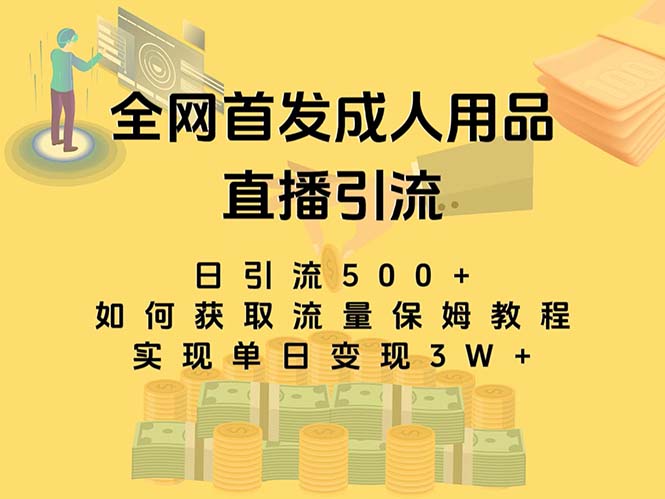 最新全网独创首发，成人用品直播引流获客暴力玩法，单日变现3w保姆级教程-无双资源网