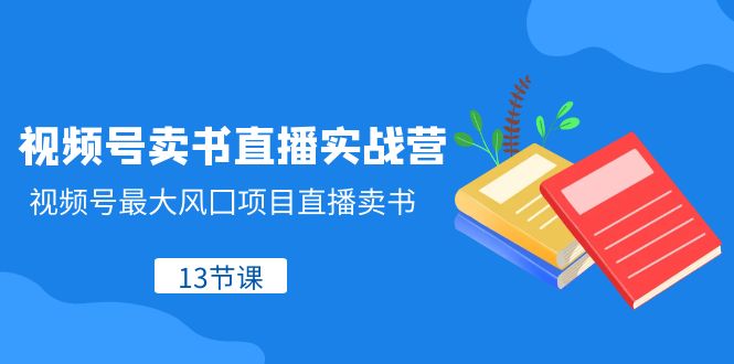 视频号-卖书直播实战营，视频号最大风囗项目直播卖书（13节课）-无双资源网