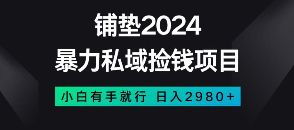 暴力私域捡钱项目，小白无脑操作，日入2980【揭秘】-无双资源网