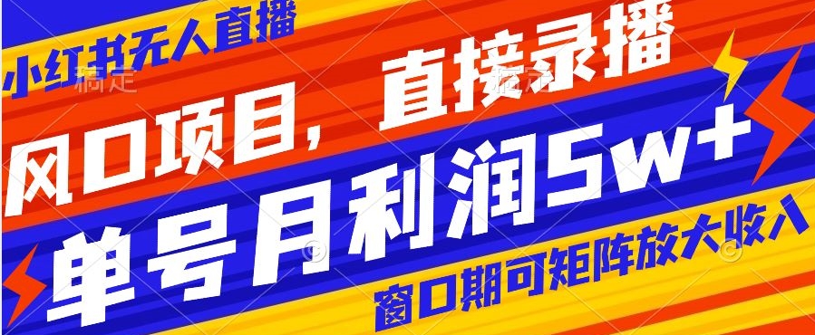 风口项目，小红书无人直播带货，直接录播，可矩阵，月入5w+【揭秘】-无双资源网