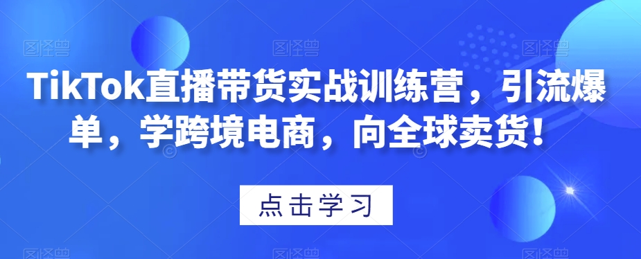 TikTok直播带货实战训练营，引流爆单，学跨境电商，向全球卖货！-无双资源网