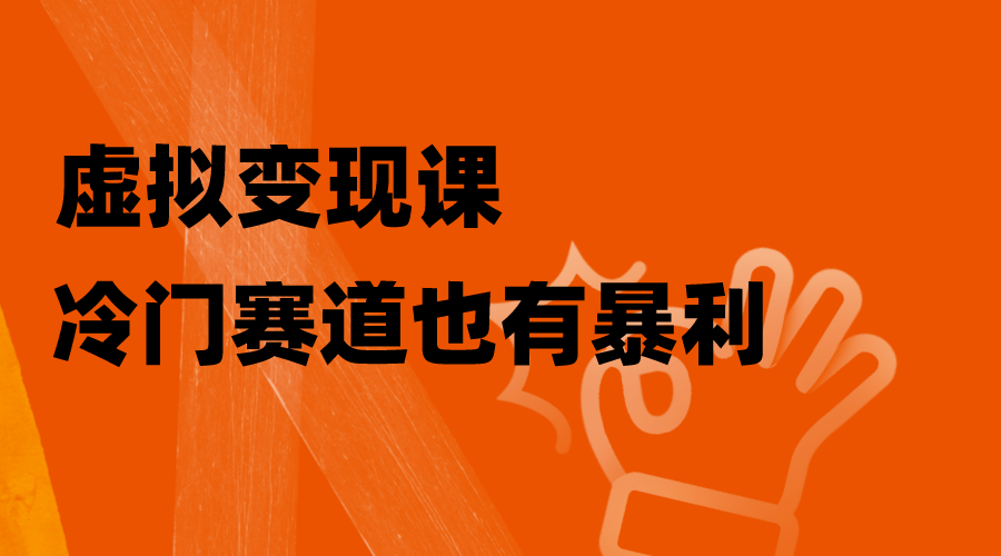 虚拟变现课，冷门赛道也有暴利，手把手教你玩转冷门私域-无双资源网