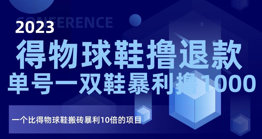 2023得物球鞋撸退款，单号一双鞋暴利撸1000，一个比得物球鞋搬砖暴利10倍的项目【揭秘】-无双资源网