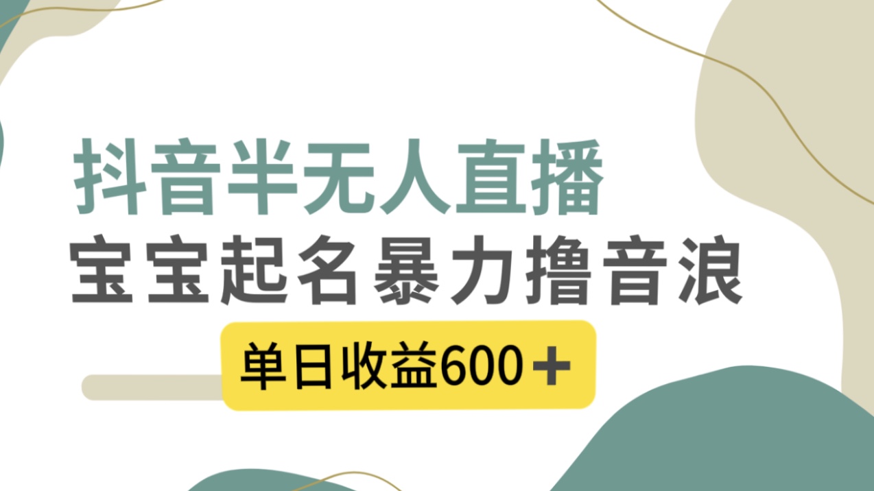 抖音半无人直播，宝宝起名，暴力撸音浪，单日收益600+-无双资源网