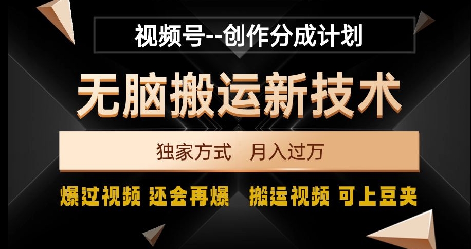 视频号无脑搬运新技术，破原创壕流量，独家方式，爆过视频，还会再爆【揭秘】-无双资源网