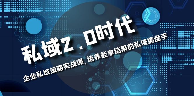 私域-2.0时代：企业私域策略实战课，培养能拿结果的私域操盘手-无双资源网