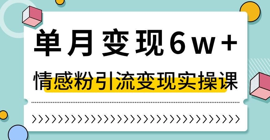 单月变现6W+，抖音情感粉引流变现实操课，小白可做，轻松上手，独家赛道【揭秘】-无双资源网