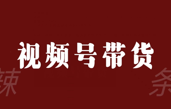 视频号带货联盟，赚信息差的带货钱，只需手机随时随地都可以做！-无双资源网