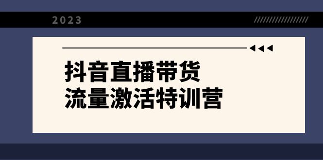 抖音直播带货-流量激活特训营，入行新手小白主播必学（21节课+资料）-无双资源网