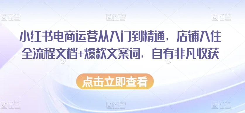 小红书电商运营从入门到精通，店铺入住全流程文档+爆款文案词，自有非凡收获-无双资源网