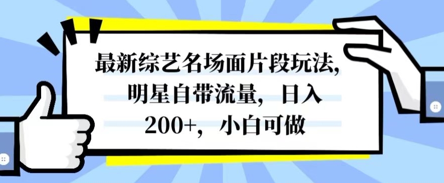 最新综艺名场面片段玩法，明星自带流量，日入200+，小白可做【揭秘】-无双资源网