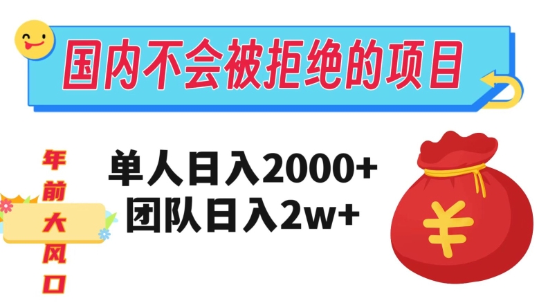 在国内不怕被拒绝的项目，单人日入2000，团队日入20000+【揭秘】-无双资源网