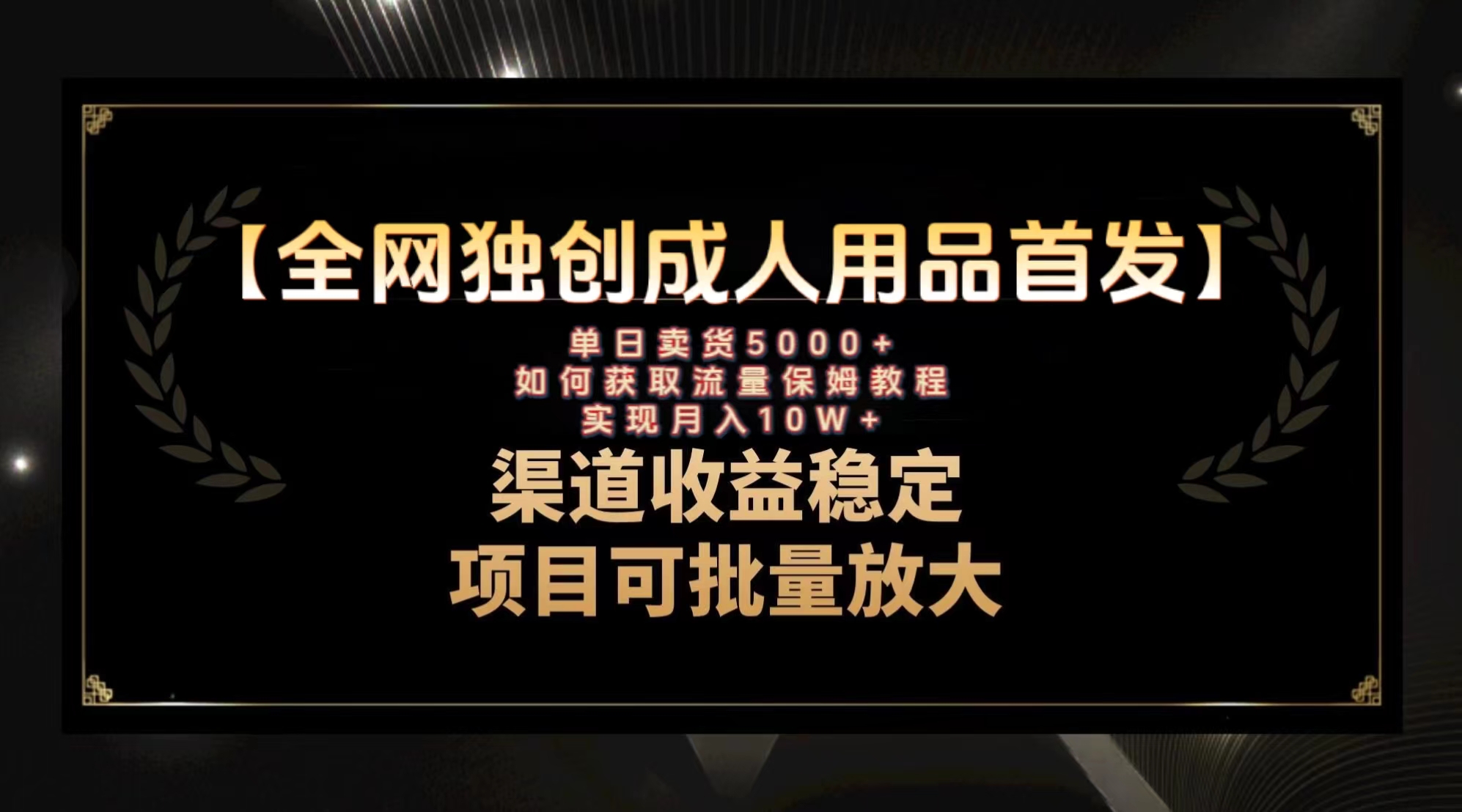 最新全网独创首发，成人用品赛道引流获客，月入10w保姆级教程-无双资源网