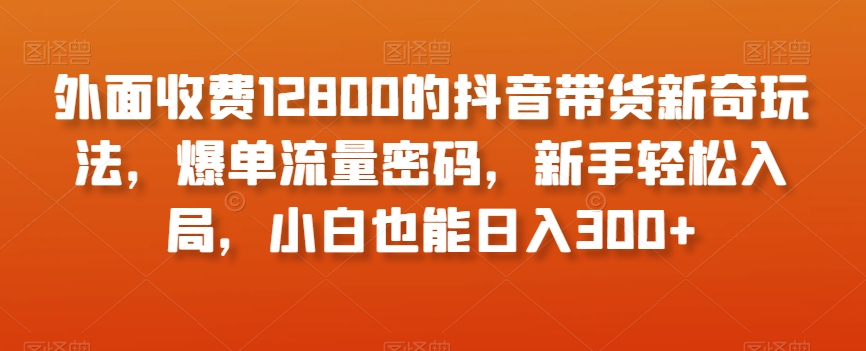 外面收费12800的抖音带货新奇玩法，爆单流量密码，新手轻松入局，小白也能日入300+【揭秘】-无双资源网