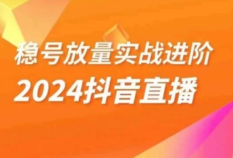 稳号放量实战进阶—2024抖音直播，直播间精细化运营的几大步骤-无双资源网