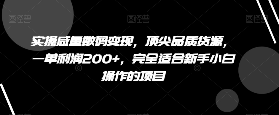 实操咸鱼数码变现，顶尖品质货源，一单利润200+，完全适合新手小白操作的项目【揭秘】-无双资源网