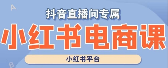 小红书电商高级运营课程，实操教学+案例分析-无双资源网