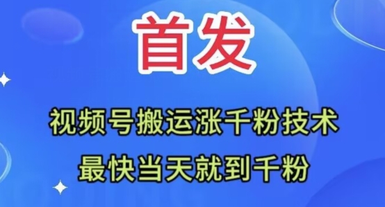 全网首发：视频号无脑搬运涨千粉技术，最快当天到千粉【揭秘】-无双资源网