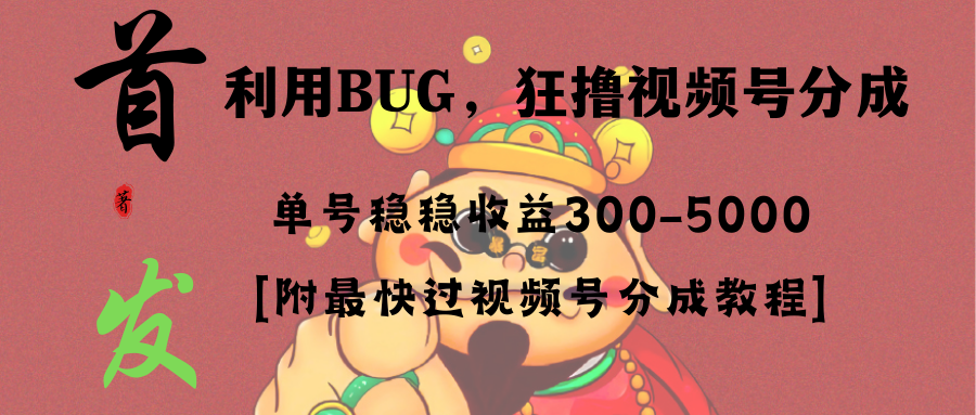 全网独家首发，视频号BUG，超短期项目，单号每日净收益300-5000！-无双资源网