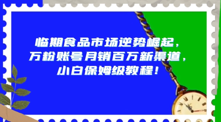 临期食品市场逆势崛起，万粉账号月销百万新渠道，小白保姆级教程【揭秘】-无双资源网