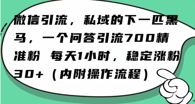 怎么搞精准创业粉？微信新赛道，每天一小时，利用Ai一个问答日引100精准粉-无双资源网