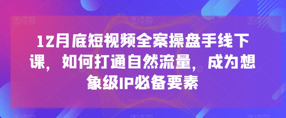 12月底短视频全案操盘手线下课，如何打通自然流量，成为想象级IP必备要素-无双资源网