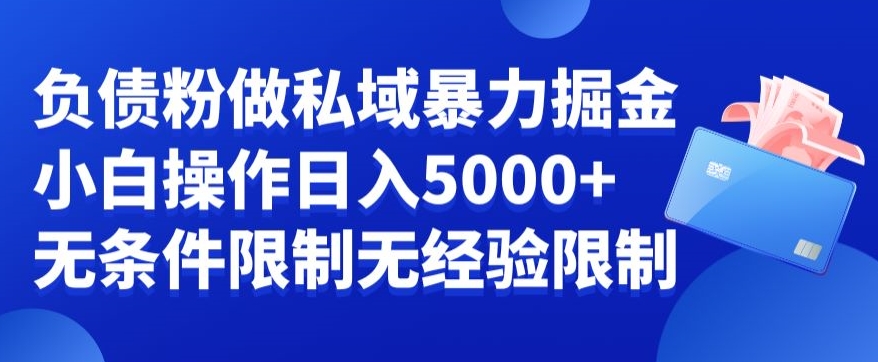 负债粉私域暴力掘金，小白操作入5000，无经验限制，无条件限制【揭秘】-无双资源网