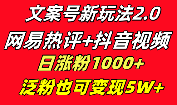 文案号新玩法 网易热评+抖音文案 一天涨粉1000+ 多种变现模式 泛粉也可变现-无双资源网