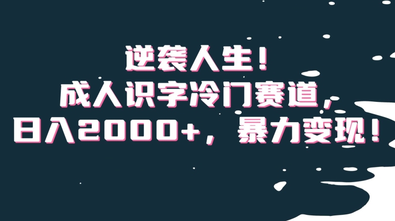 逆袭人生！成人识字冷门赛道，日入2000+，暴力变现！【揭秘】-无双资源网