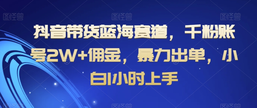 抖音带货蓝海赛道，千粉账号2W+佣金，暴力出单，小白1小时上手【揭秘】-无双资源网