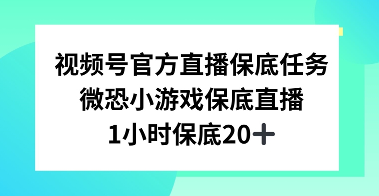 视频号直播任务，微恐小游戏，1小时20+【揭秘】-无双资源网