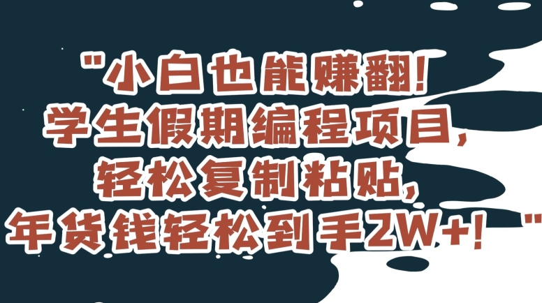 小白也能赚翻！学生假期编程项目，轻松复制粘贴，年货钱轻松到手2W+【揭秘】-无双资源网