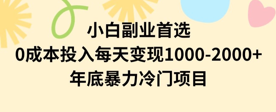 小白副业首选，0成本投入，每天变现1000-2000年底暴力冷门项目【揭秘】-无双资源网