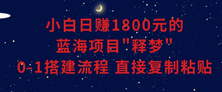 小白能日赚1800元的蓝海项目”释梦”0-1搭建流程可直接复制粘贴长期做【揭秘】-无双资源网