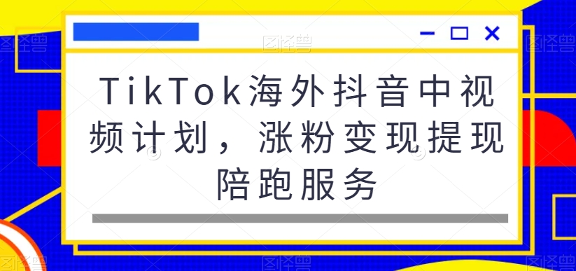 TikTok海外抖音中视频计划，涨粉变现提现陪跑服务-无双资源网