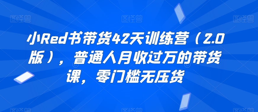 小Red书带货42天训练营（2.0版），普通人月收过万的带货课，零门槛无压货-无双资源网