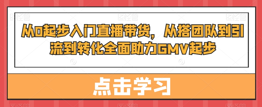 从0起步入门直播带货，​从搭团队到引流到转化全面助力GMV起步-无双资源网