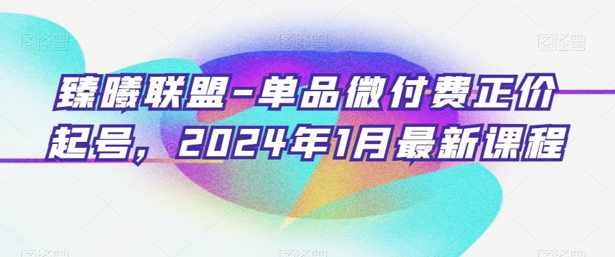 臻曦联盟-单品微付费正价起号，2024年1月最新课程-无双资源网