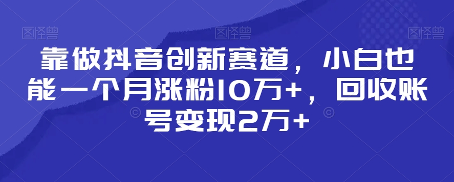 靠做抖音创新赛道，小白也能一个月涨粉10万+，回收账号变现2万+【揭秘】-无双资源网