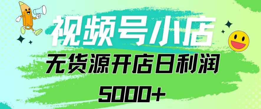 视频号无货源小店从0到1日订单量千单以上纯利润稳稳5000+【揭秘】-无双资源网