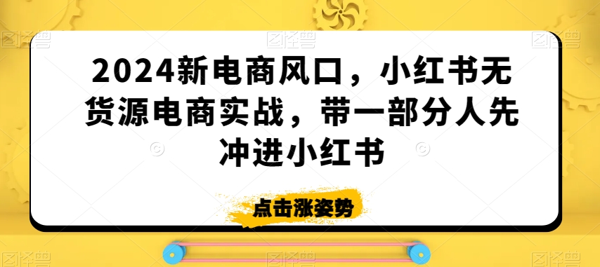 2024新电商风口，小红书无货源电商实战，带一部分人先冲进小红书-无双资源网