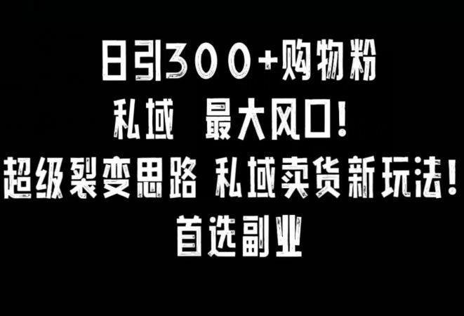 日引300+购物粉，超级裂变思路，私域卖货新玩法，小红书首选副业【揭秘】-无双资源网