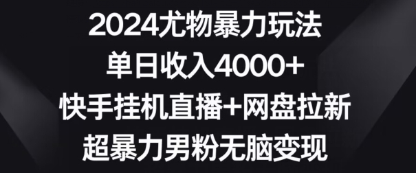 2024尤物暴力玩法，单日收入4000+，快手挂机直播+网盘拉新，超暴力男粉无脑变现【揭秘】-无双资源网